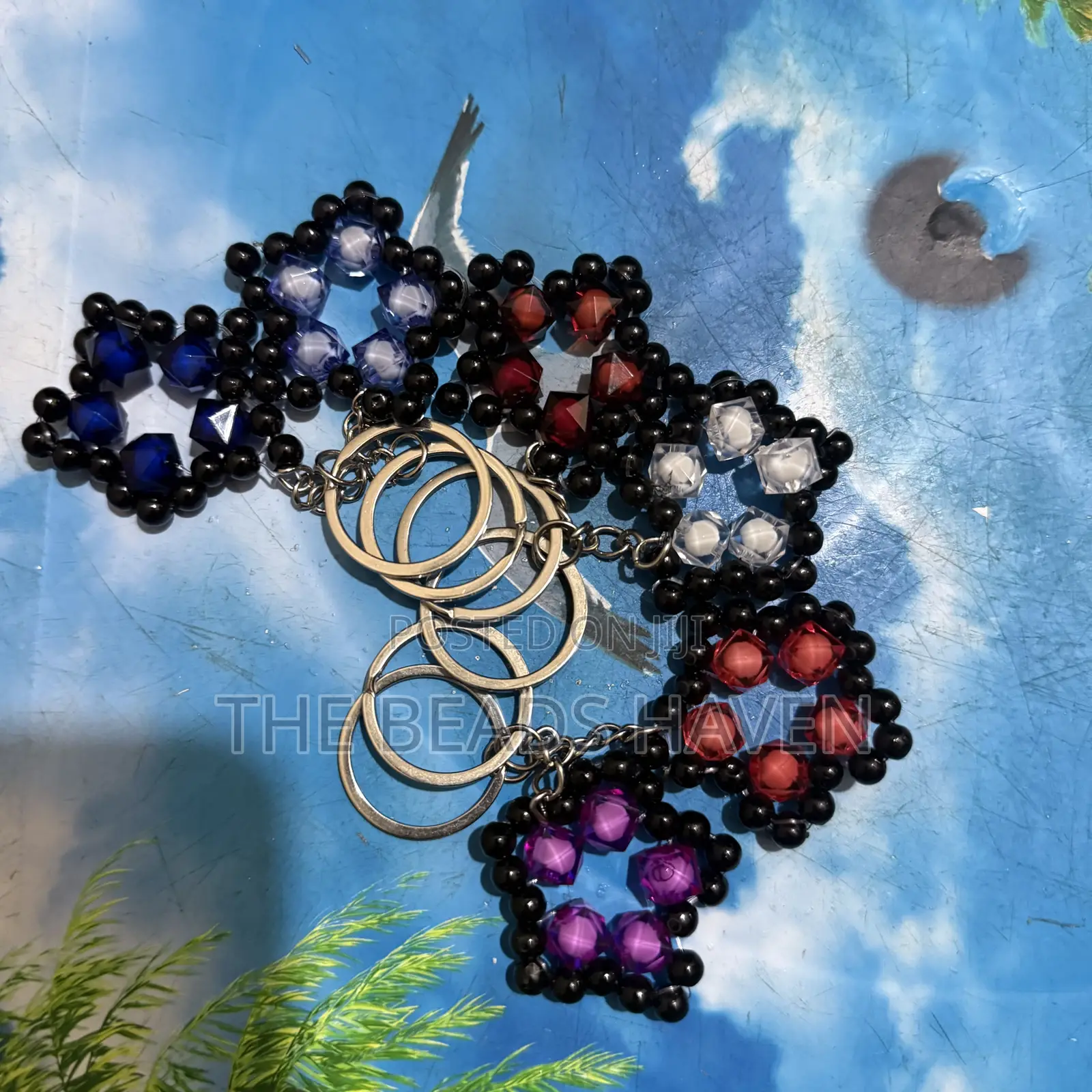 Keychains/Keyholder
