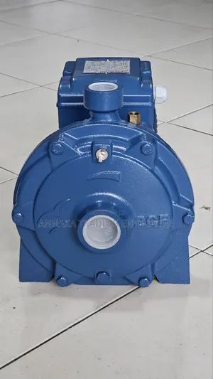 Italian Water Pump