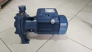 Italian Water Pump