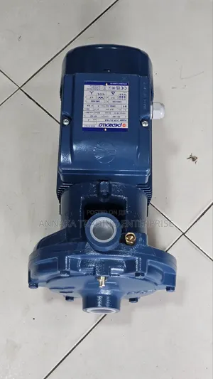 Italian Water Pump