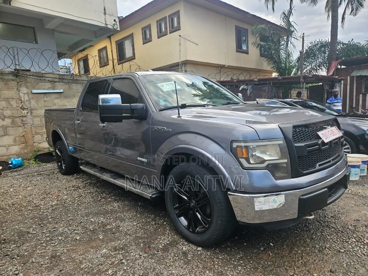 Ford F-150 2012 Gray