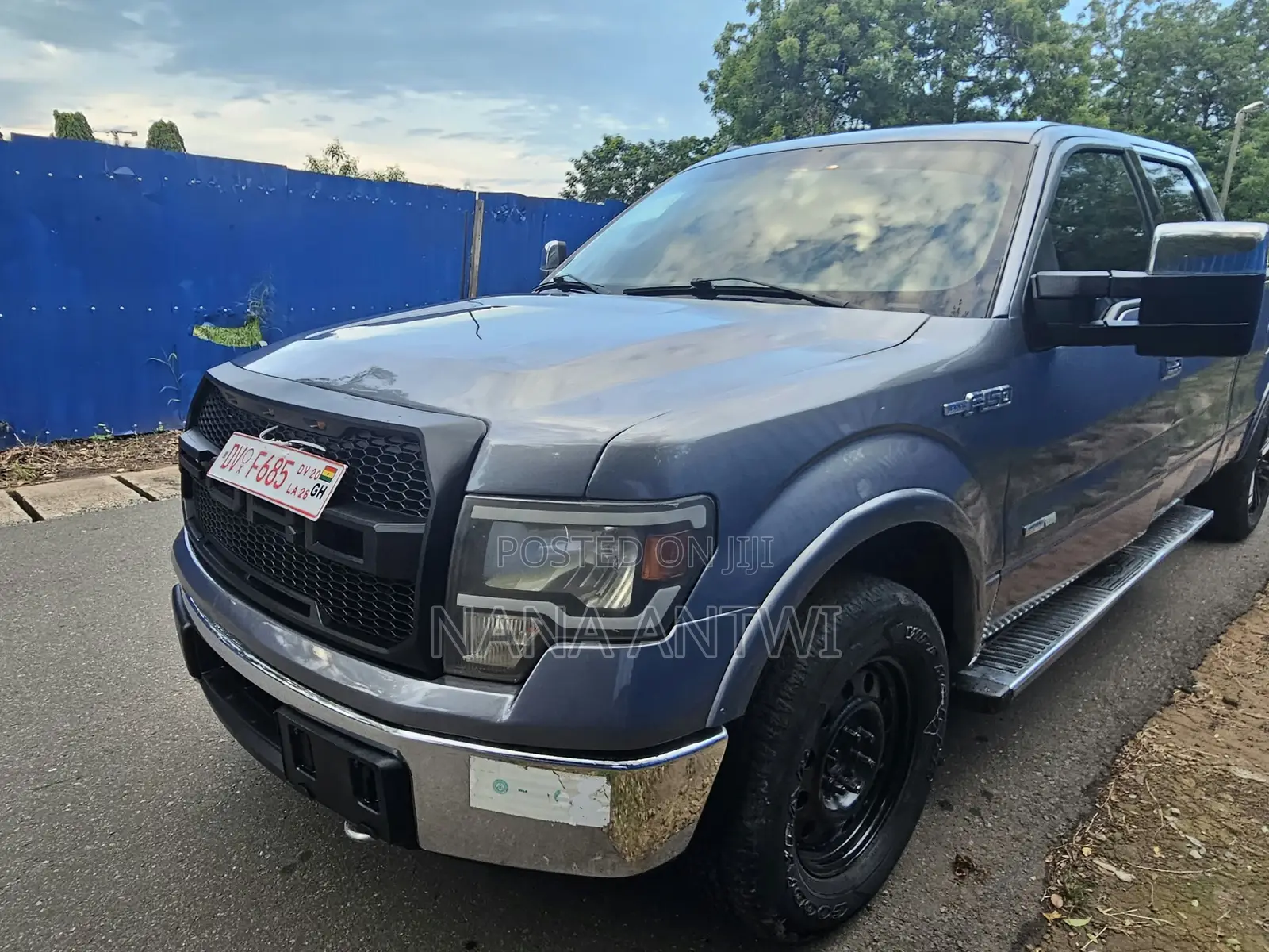 Ford F-150 2012 Gray