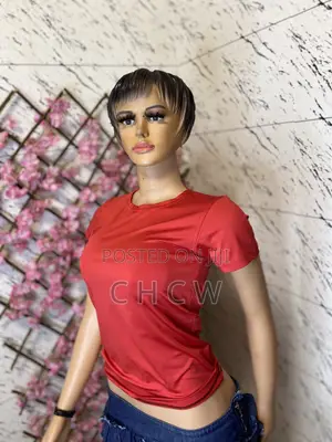 2 Pieces of Women Ladies Dress and a Red Top