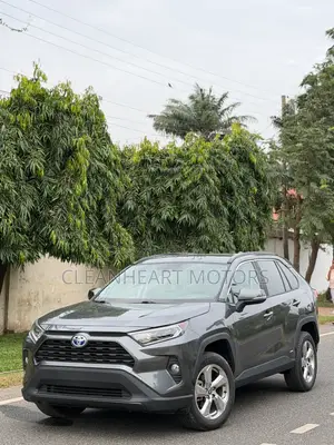 Toyota RAV4 XLE Premium 2021 Gray