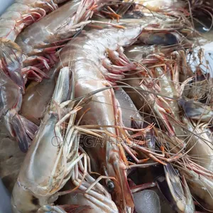 Fresh Prawns