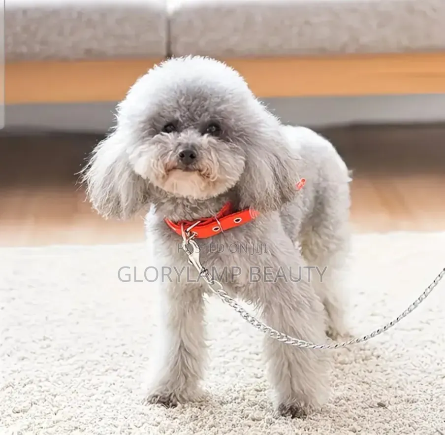 Heavy Duty Stainless Steel Dog Leash Chain With Red Nylon Handle