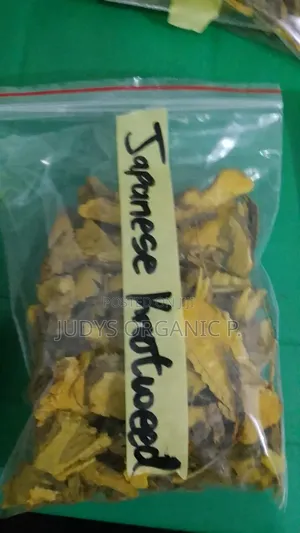 Japanese Knotweed Root( Trans Resveratrol Natural Source)