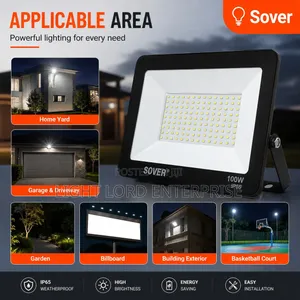Sober Since 1999 Flood Lights All Available