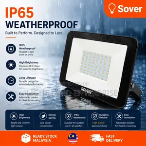 Sober Since 1999 Flood Lights All Available
