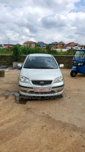 Toyota Vios 2010 Gray