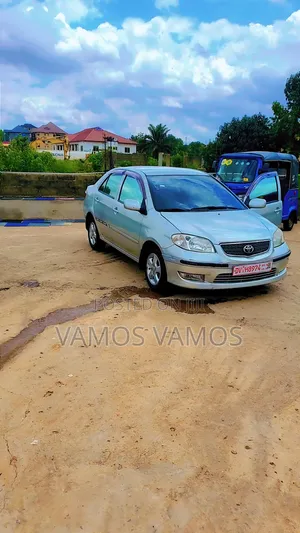 Toyota Vios 2010 Gray