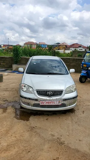 Toyota Vios 2010 Gray