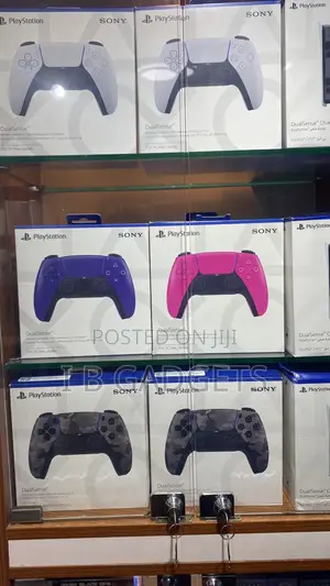 PS5 Controller