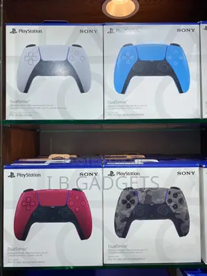 PS5 Controller