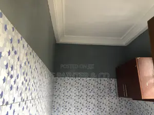 Professional Painters_ Affordable and Reliable