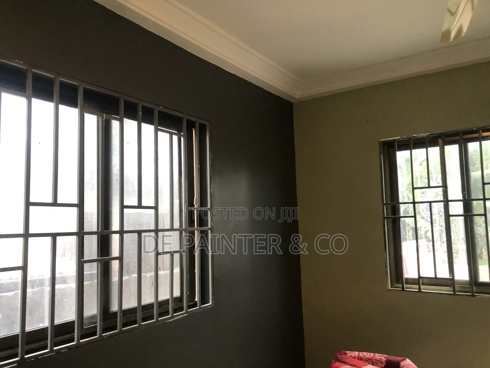 Professional Painters_ Affordable and Reliable