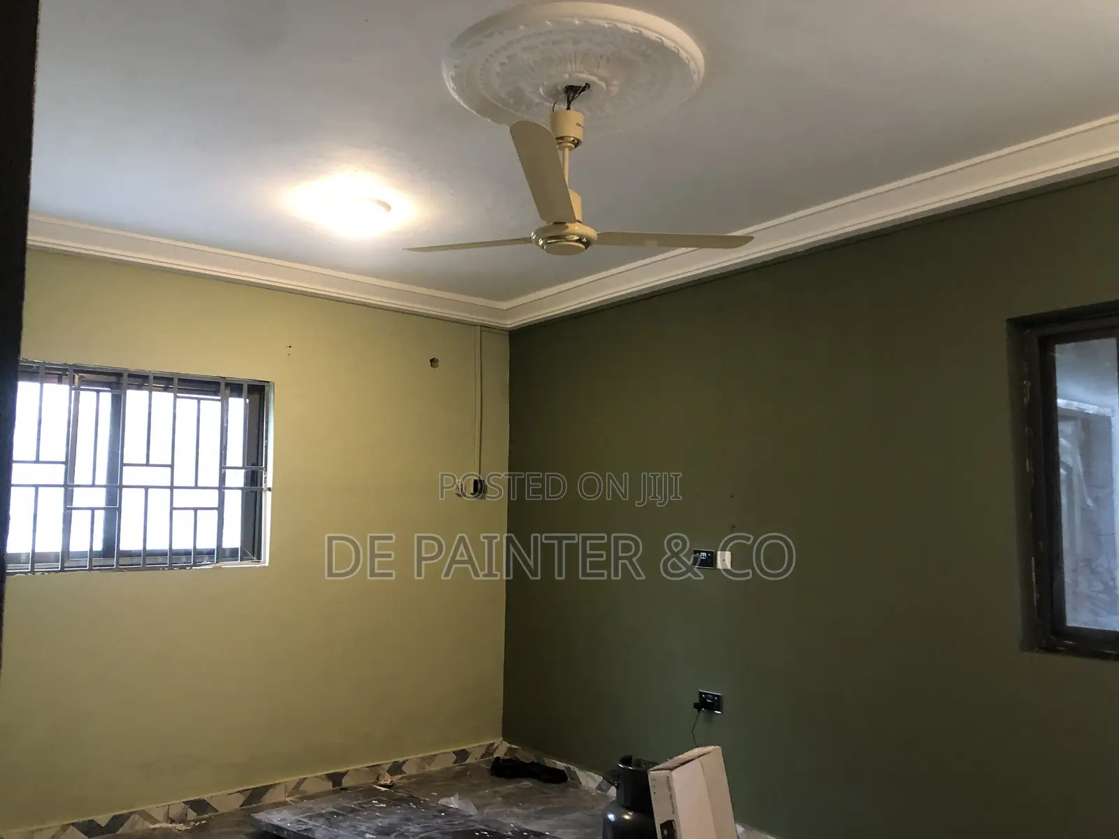 Professional Painters_ Affordable and Reliable