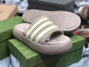 Adidas and Burbery Slippers