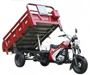 New Tricycle 2026 Blue
