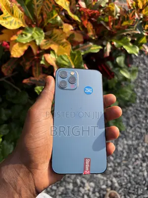 Apple iPhone 12 Pro 256 GB