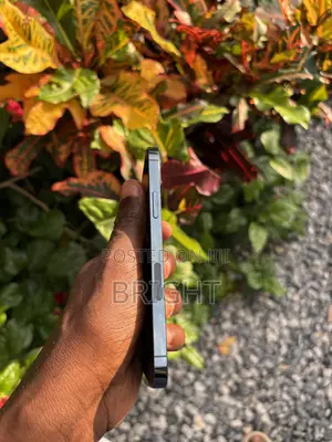 Apple iPhone 12 Pro 256 GB