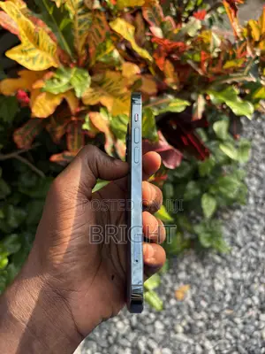 Apple iPhone 12 Pro 256 GB