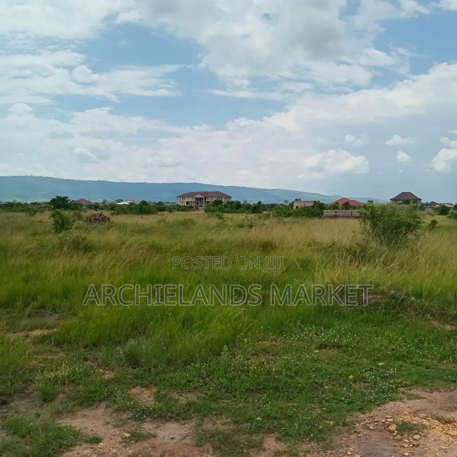 Secure Your Piece of Land at Asebi