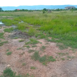 Secure Your Piece of Land at Asebi