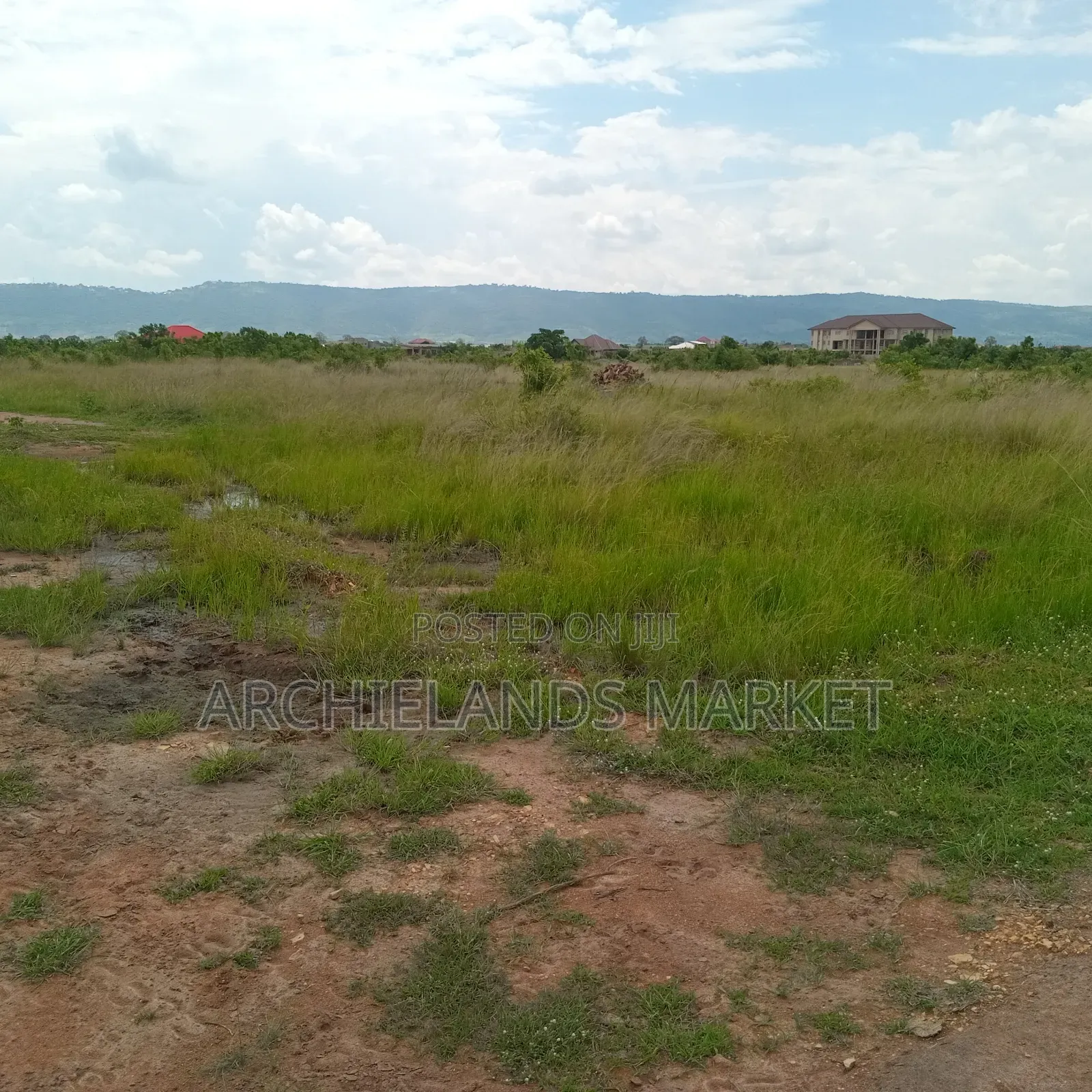 Secure Your Piece of Land at Asebi