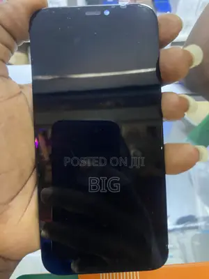 iPhone 12 /12Pro Screen