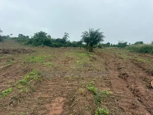 Land Available at Gontei