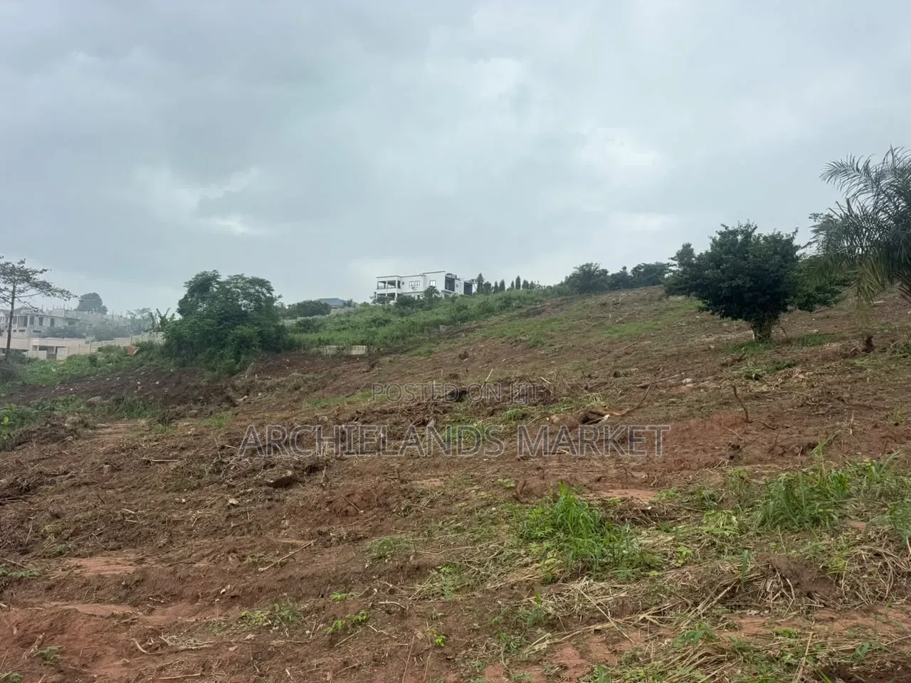 Land Available at Gontei