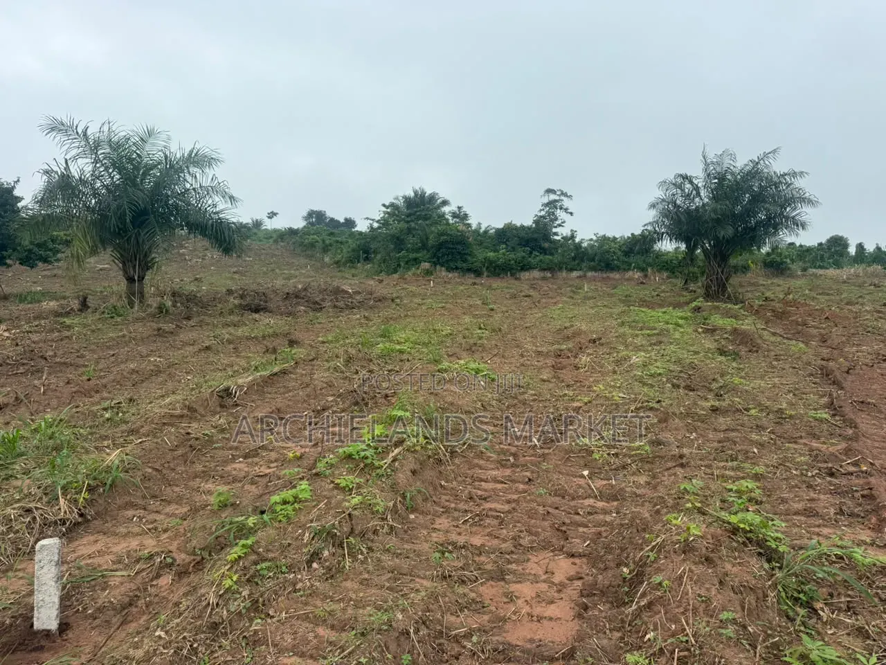 Land Available at Gontei