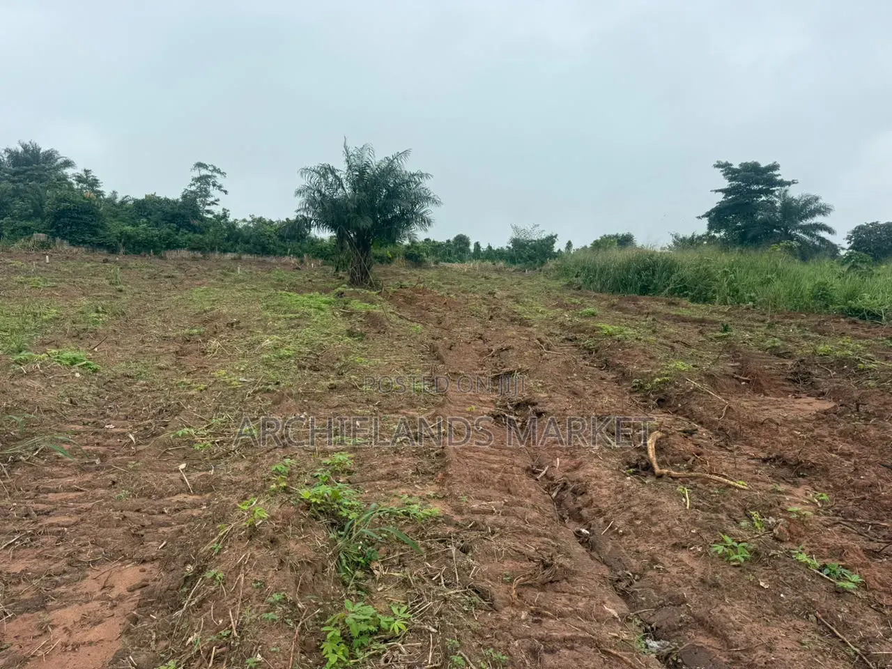 Land Available at Gontei