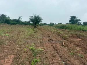 Land Available at Gontei