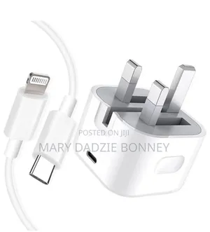 iPhone Charger