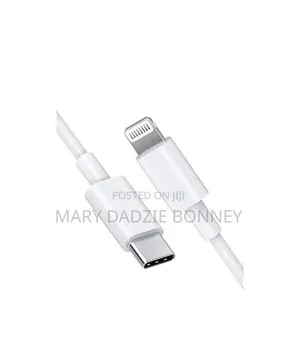 iPhone Charger