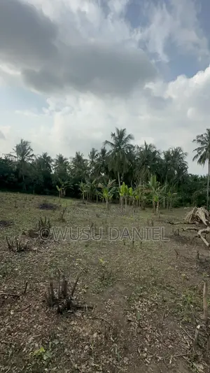 Two Plots of Land for Sale in Appiedu Kokoben,close to the Main