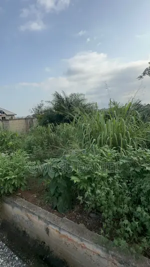 Two Plots of Land for Sale in Appiedu Kokoben,close to the Main