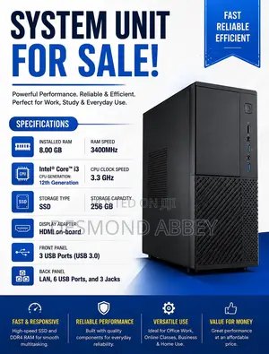 System Unit