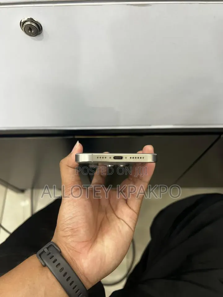 Apple iPhone 15 Pro Max 256 GB Silver