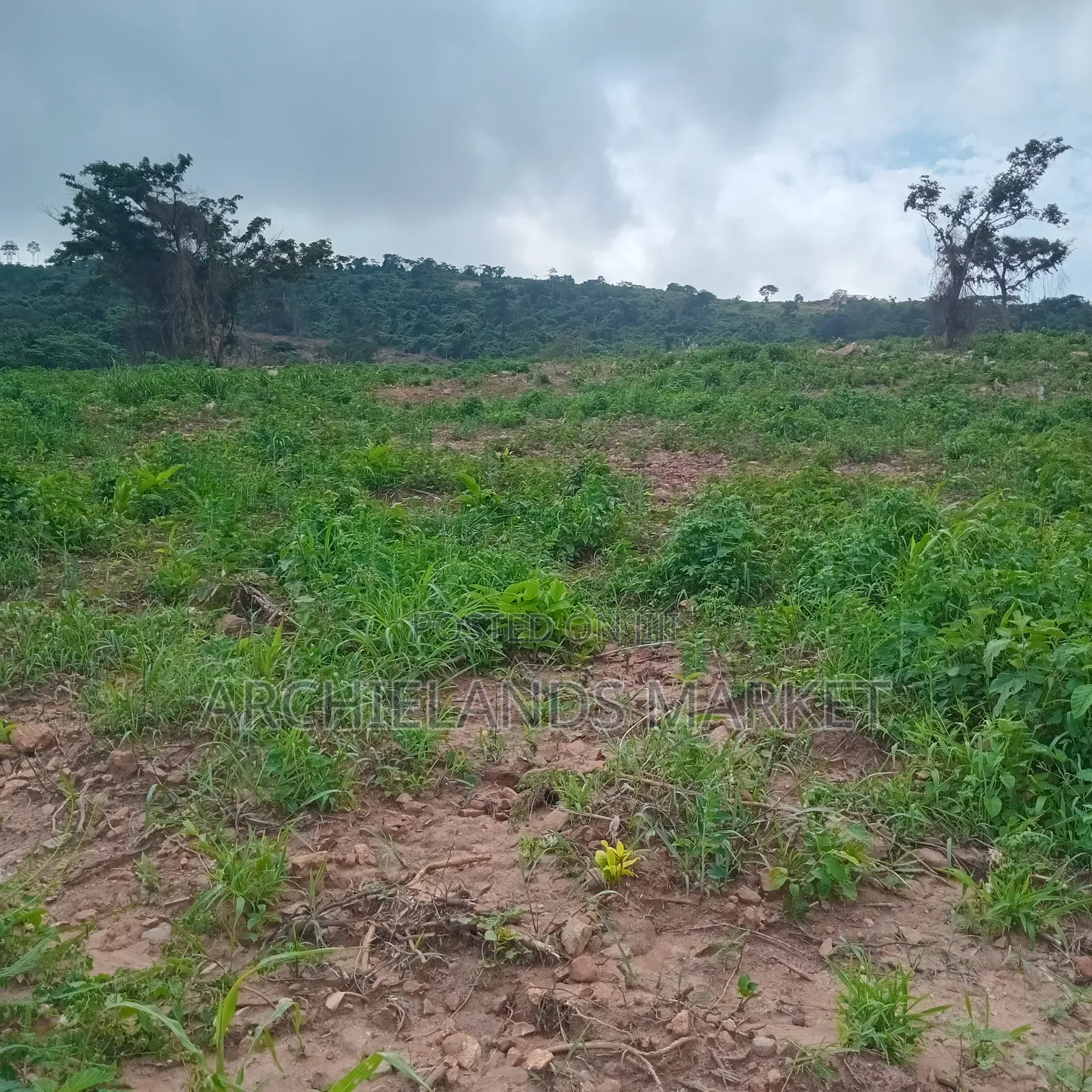 Land Available at Adamrobe for Sale