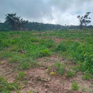 Land Available at Adamrobe for Sale