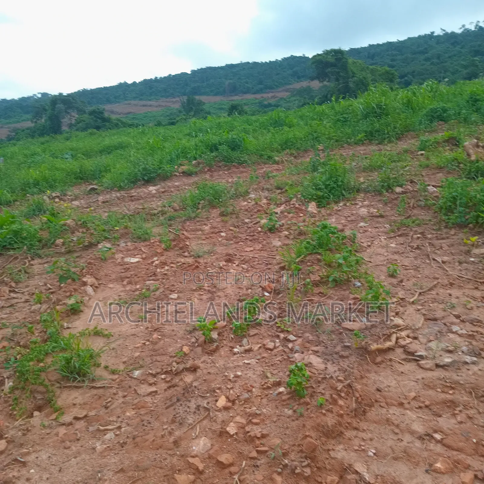 Land Available at Adamrobe for Sale