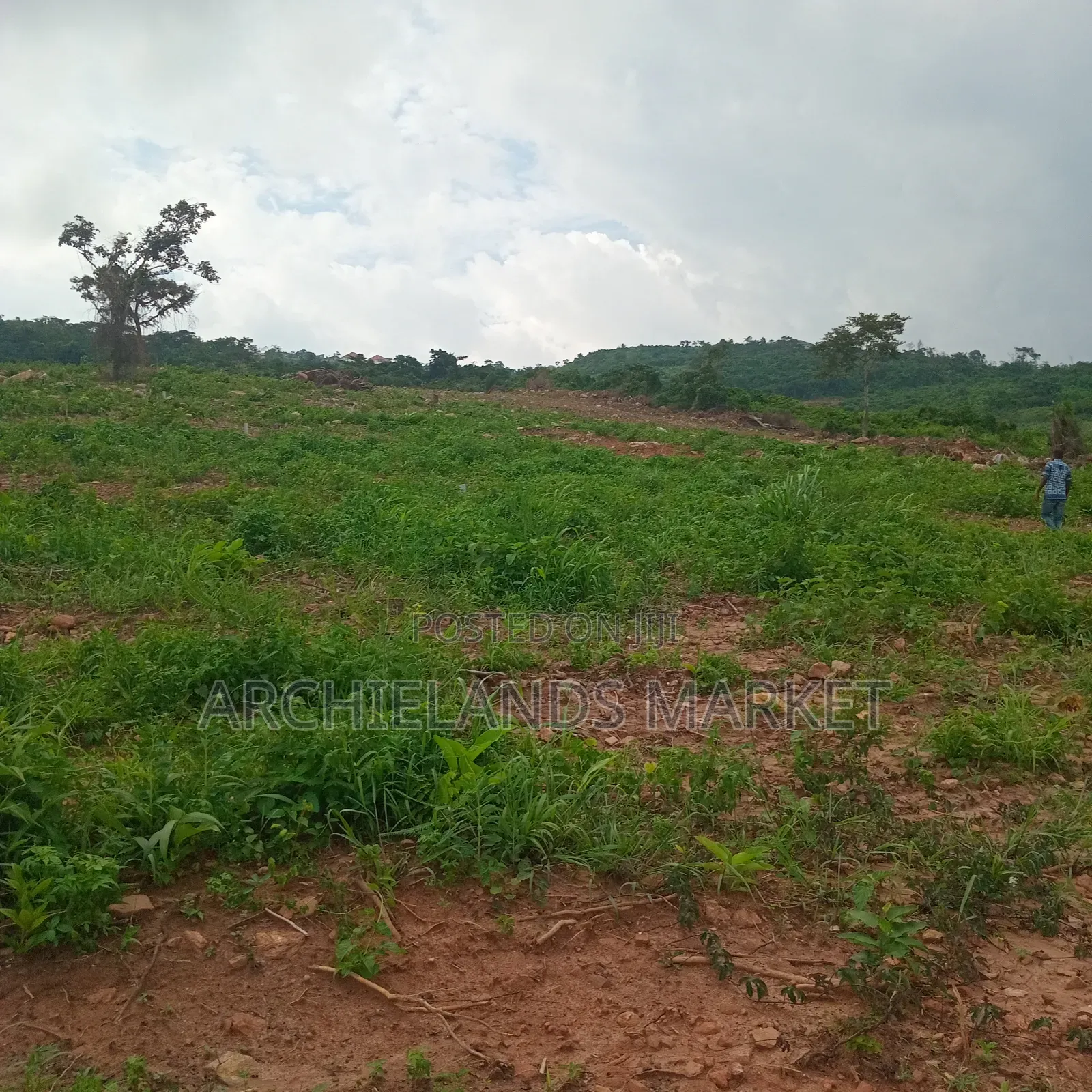 Land Available at Adamrobe for Sale