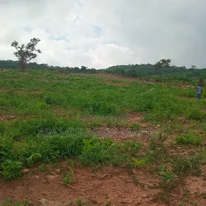Land Available at Adamrobe for Sale