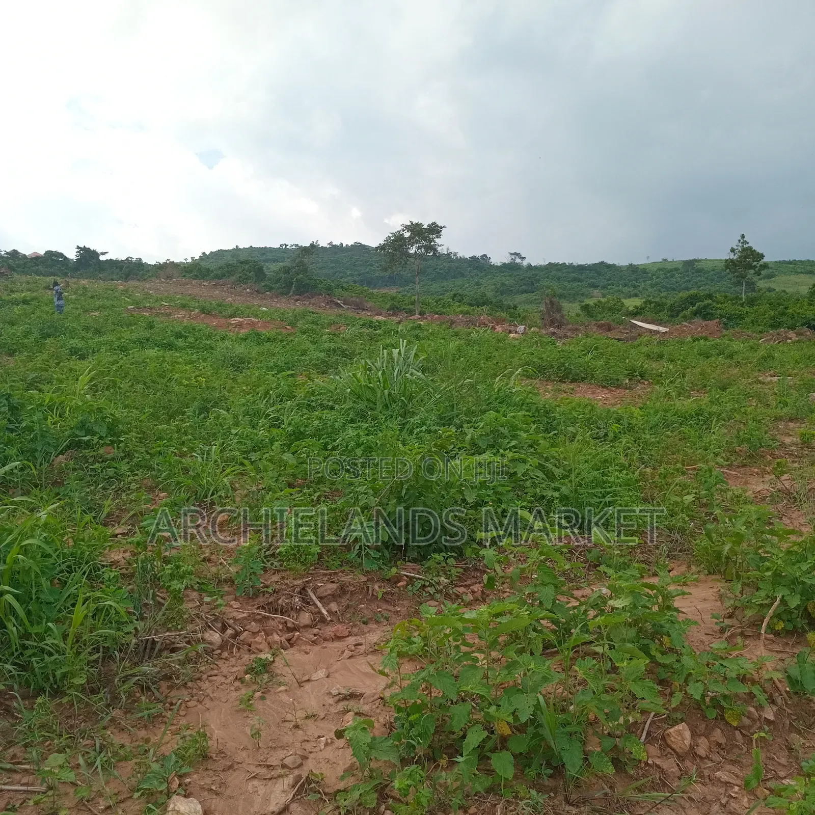 Land Available at Adamrobe for Sale