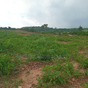 Land Available at Adamrobe for Sale