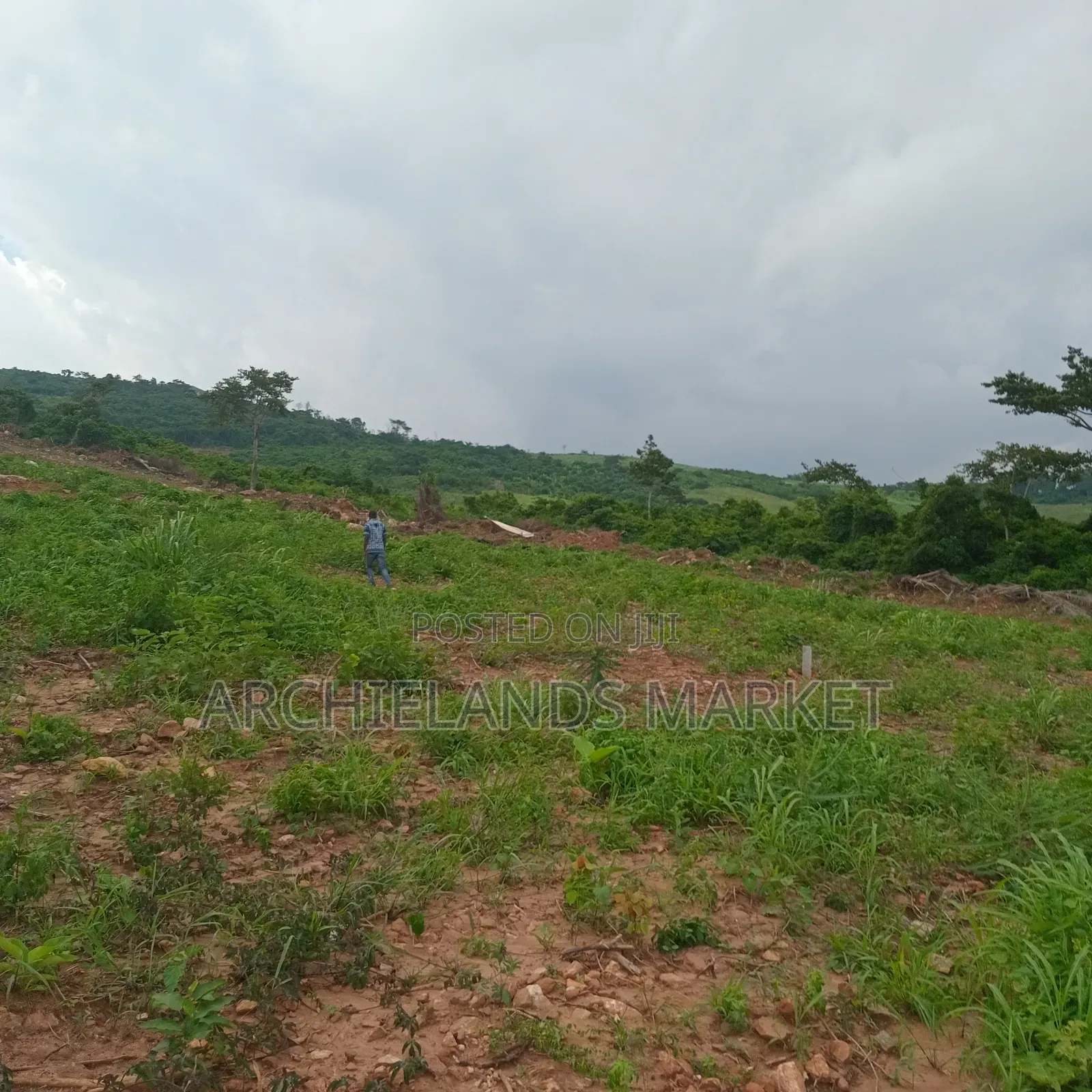 Land Available at Adamrobe for Sale