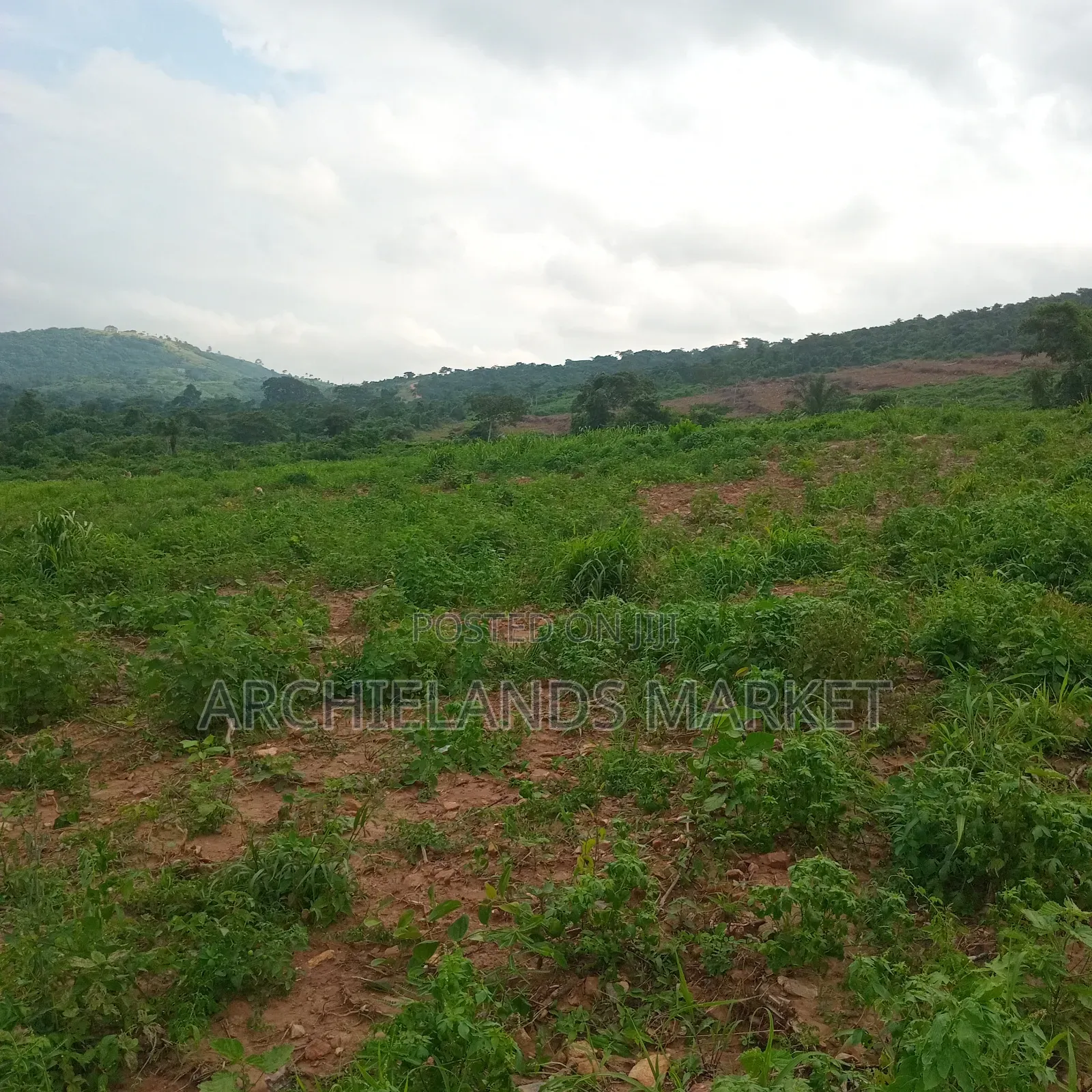 Land Available at Adamrobe for Sale